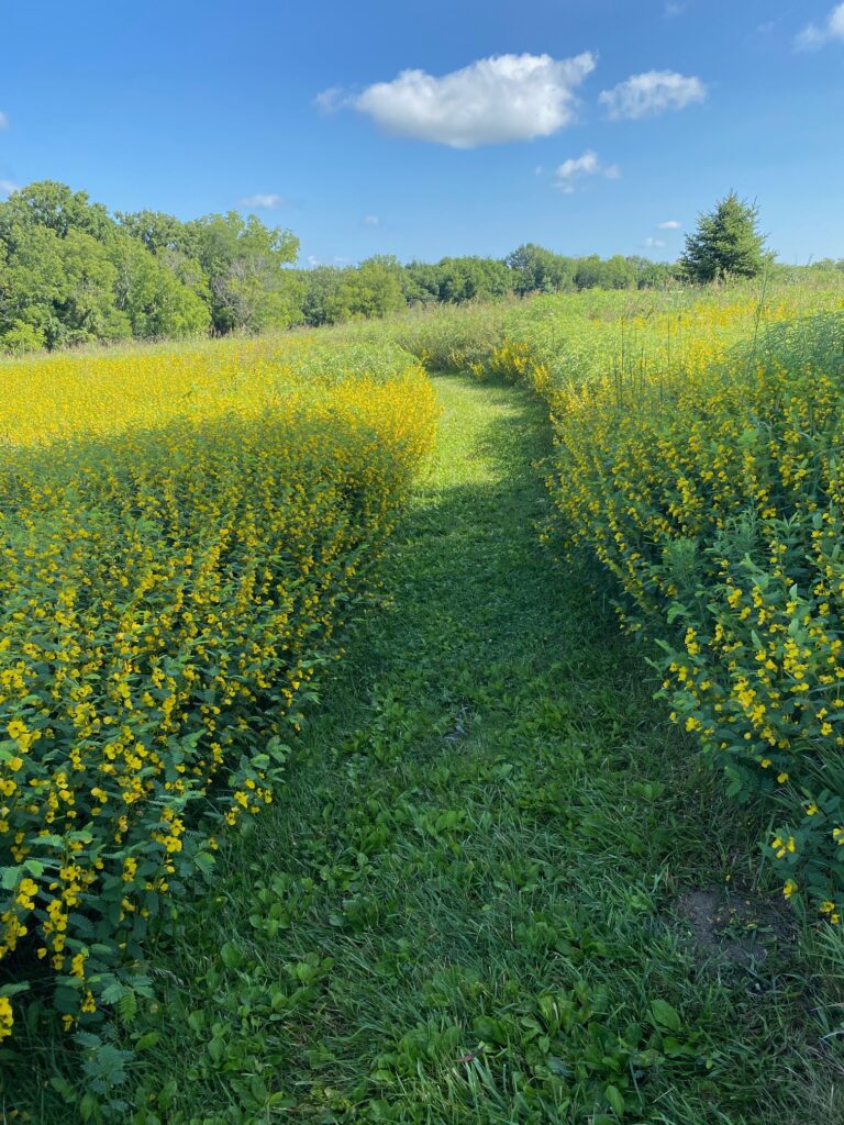 prairie trail